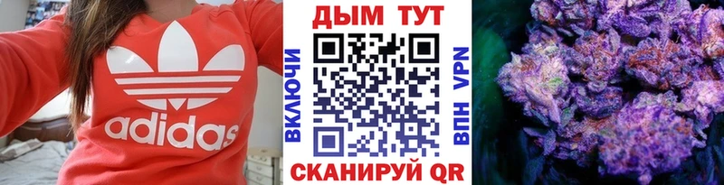 Где купить наркотики Тамбов Амфетамин  Alpha-PVP  COCAIN  Галлюциногенные грибы  Меф  Конопля  ГАШИШ 