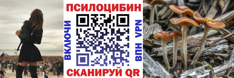 Галлюциногенные грибы прущие грибы  Тамбов 
